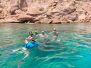 swim with sea lions in espiritu santo island 