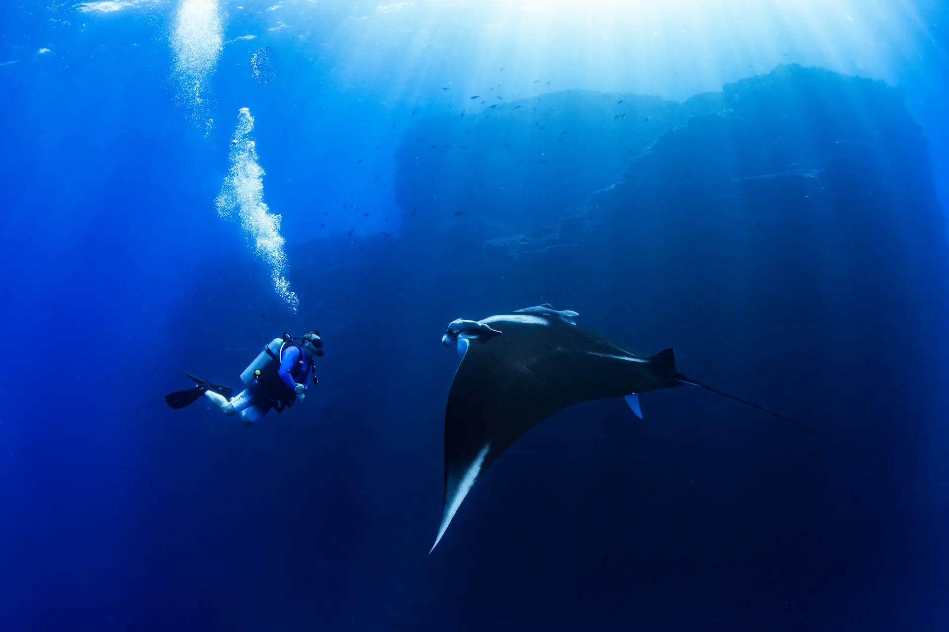 socorro liveaboard diving