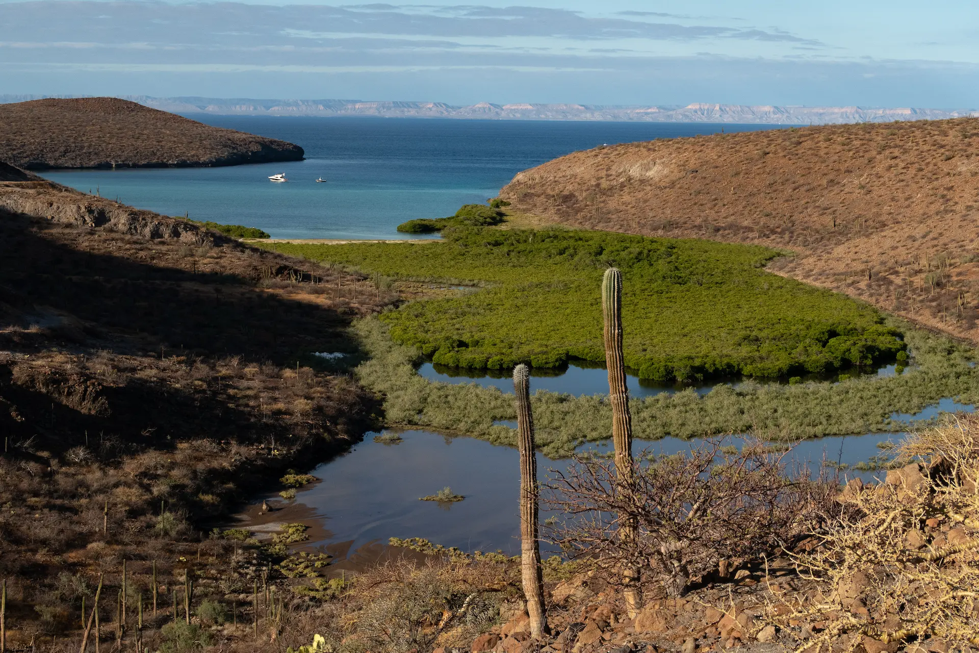Baja California